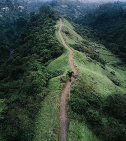 Narrow road on a hill surrounded by nature